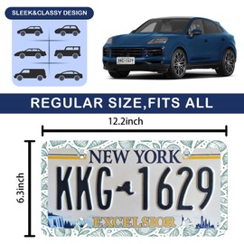 Light Blue Seashells Beachy License Plate Frame - Unobstructed Narrow-Edge 2 Packs Universal Stainless Steel Car License Plate Frames Holder Solid Holder with 4 Holes Rustproof for Men Women