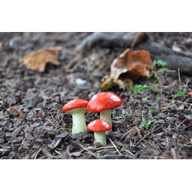 G & F MiniGardenn 10025 Fairy Garden Miniature Mushrooms (Set of 3), Orange, 0.5-1.25"High