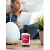 Horbäach Japanese Cherry Blossom Fragrance Oil | 1 fl oz