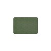 Thin Bath Mat, Bathroom Rugs Non Slip Washable, 24x36 Sage