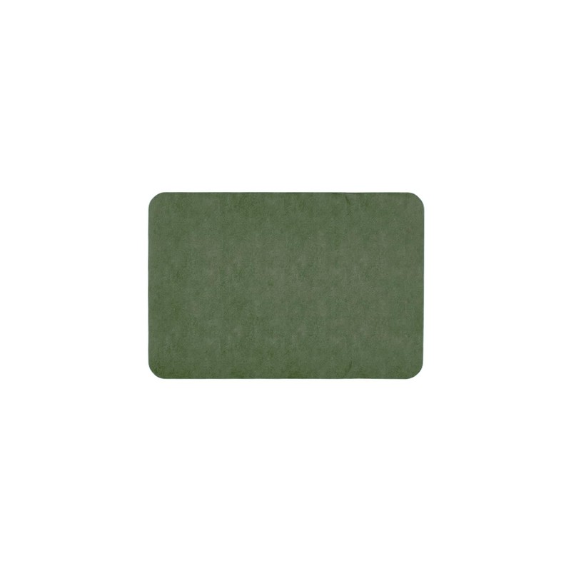 Thin Bath Mat, Bathroom Rugs Non Slip Washable, 24x36 Sage