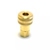 Foster FM3003 - 1/4" Female NPT x 1/4" Quick Coupler