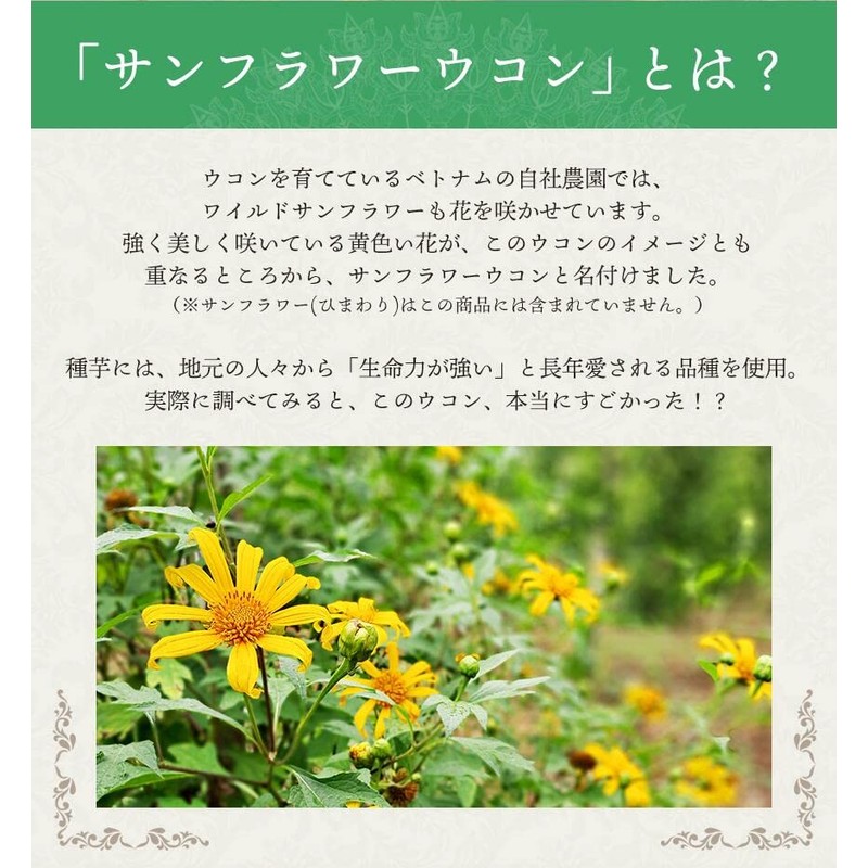 SPANION ターメリックパウダー 100g 無農薬栽培 自社農薬検査合格 国内製造 ウコン 粉末