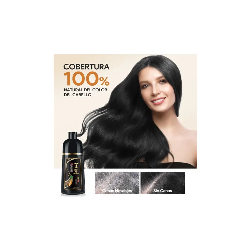 Shampoo Tinte Instantáneo Cubre Canas 3en1 Natural Jengibre