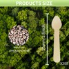 Mini Ice Cream Wooden Spoons 200 Counts, 3.8" Disposable Wooden