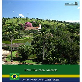 Home-roasted Coffee Yasuragi, Superb Coffee Beans (Roasted After Order), Amarello Bourbon Alcoiris Farm, UTZ Certified, Coffee Beans (3.5 oz (100 g)