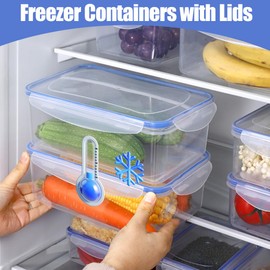 Storage Box with Lid Set, 4-Piece Plastic Food Containers with Lid, Reusable Fridge Storage Containers with Durable Snap Lock for Fruit, Salad, Snack