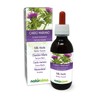 Milk Thistle (Silybum Marianum) Herb and Fruits Alcohol-Free Mother Tincture
