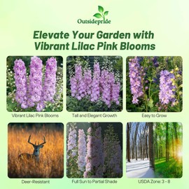 Outsidepride Magic Fountains Delphinium Seeds - 100 Pcs Perennial, Self-Seeding, Heat & Drought Tolerant Flower Seed for Planting Lilac Pink Blooms for Cut Flower Arrangement, & Pollinator Garden