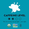 Choice Organic Teas White Elderflower Tea - Organic White &