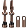 BWSHLF Tubeless Presta Valve Stem 40/44/55/60/65/70/80/100 mm, Super Light Aluminum,