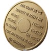 1 Year AA Medallion Premium Bronze Serenity Prayer Sobriety Chip