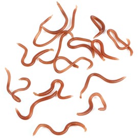 FLEXMAN Fishing Soft Lure, 10cm Elasticity Lifelike Worm Earthworm Bait, Fishing Lure Baits with Box for Fishermen Fishing