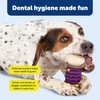 PetSafe Busy Buddy Nobbly Nubbly Treat Holding Dog Toy -