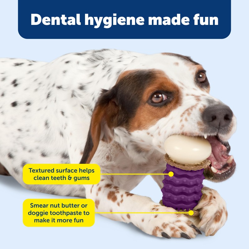 PetSafe Busy Buddy Nobbly Nubbly Treat Holding Dog Toy -