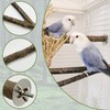 Natural Wood Bird Perch Wooden Parrot Perch Stand Platform Hanging