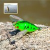 Taicols Cicada Fishing Lure, 5 Fishing Cicada Bait, Lifelike 3D
