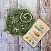 Organic Peppermint Tea Bags (50 Bags) By The Natural Health