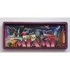 Miami Florida Dual Layer MDF Magnet 2" x 4.5"