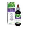 Nettle (Urtica dioica) Leaves and Roots Alcohol-Free Mother Tincture Naturalma