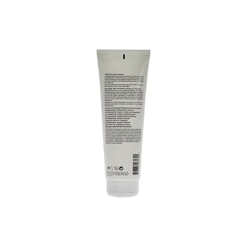 Origins Checks and Balances Frothy Face Wash Cleanser Unisex 8.5