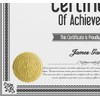 Embossed Gold Foil Certificate Seals, Seal of Excellence, 1.75", 100