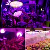 HONORSEN LED Grow Lights for Indoor Plants, Full Spectrum Plant
