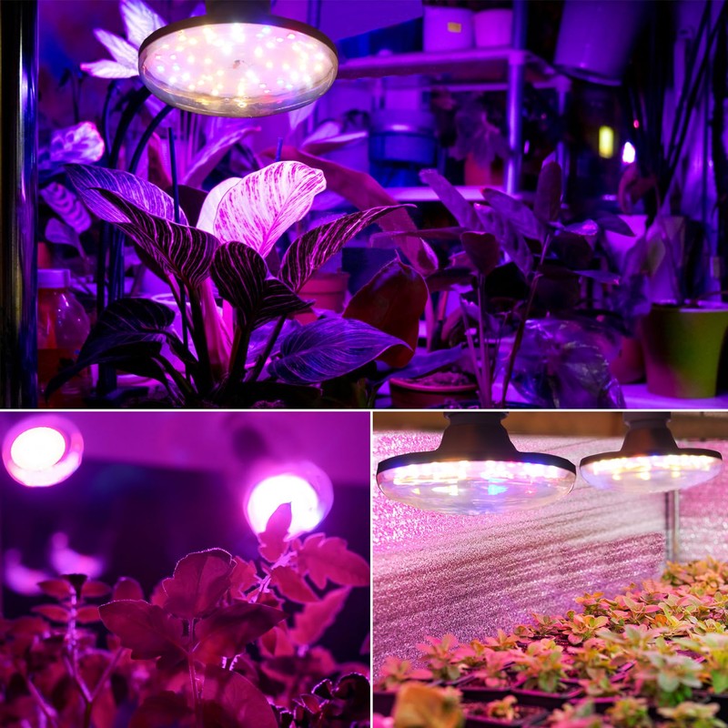 HONORSEN LED Grow Lights for Indoor Plants, Full Spectrum Plant