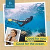 Testa Omega 3 Plant-Based Vegan Omega 3 Supplement - 250mg