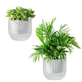 Josteve Selbstbewässernde Blumentöpfe für den Innenbereich, 16,5 cm, 2 Stück, Kunststoff-Blumentöpfe, Orchideen-Garten-Pflanzgefäße für Kräuter, Zimmerpflanzen, afrikanische Veilchen, sichtbarer