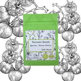 Cherry Tomato Seeds - 250 Seeds - Non-GMO - USA Grown | Premium Tomato Seeds for Gardens, Patios & Hanging Baskets