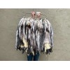 Dakotaline Soft Tanned Opossum, Pelt, Hide, Good Fur - 24"