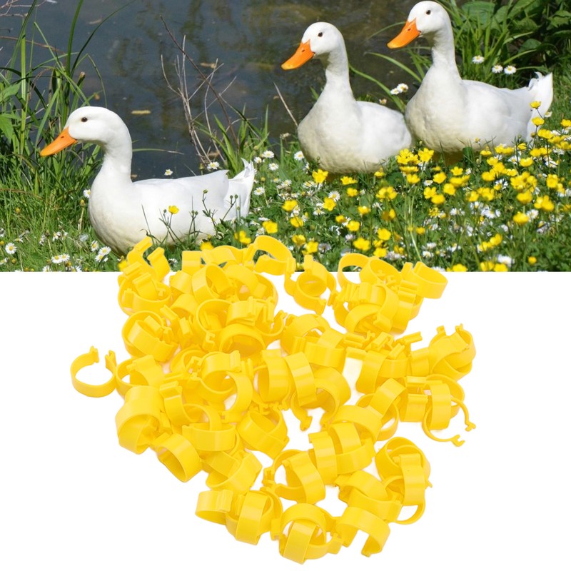 100PCS Chicken Ankle Rings Reusable Plastic Duck Leg Bands Clips