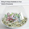 GASPRO 2.5 Pound Pebbles for Indoor Plants, 3/8 Inch Decorative
