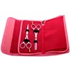 Hairdressing & Thinning Scissors Pink with Matching Sturdy Case