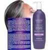 Shampoo Pure Silver Matizado Canas Anti Amarillo 1ltr Loquay
