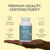 Probiotics - Mood Super Strains Probiotic - Naturally Supports Digestion