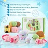 Crochet Kit for Beginners, Amigurumi Beginner Crochet Kits for Adults,