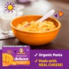 Annie's Deluxe Shells and Aged Cheddar, Pasta and Cheese Sauce,