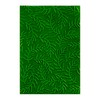 BAOFALI 3D Embossing Folder for Card Making,Pine Needles Clear Plastic