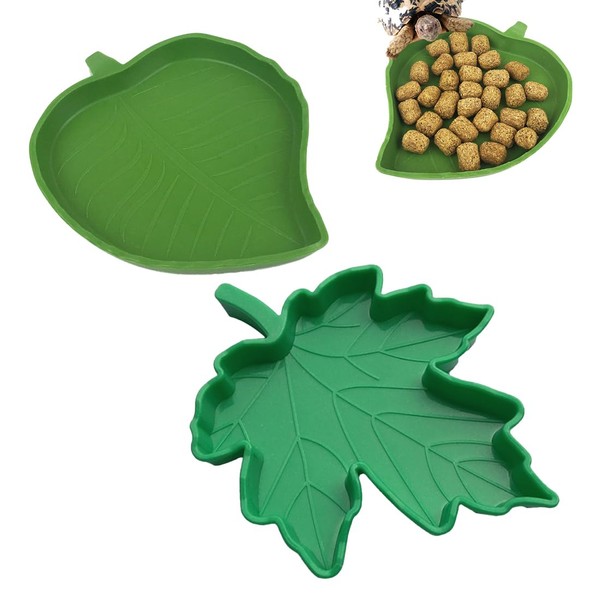 LONZIKP Pack of 2 Reptile Food Water Bowl Reptiles Turtle