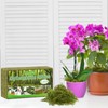 ZeeDix 3Pcs Premium Sphagnum Moss - 3.3 LBS Orchid Moss
