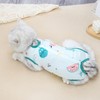 1-Piece Recovery Suit for Cats, Body for Cats After Surgery,