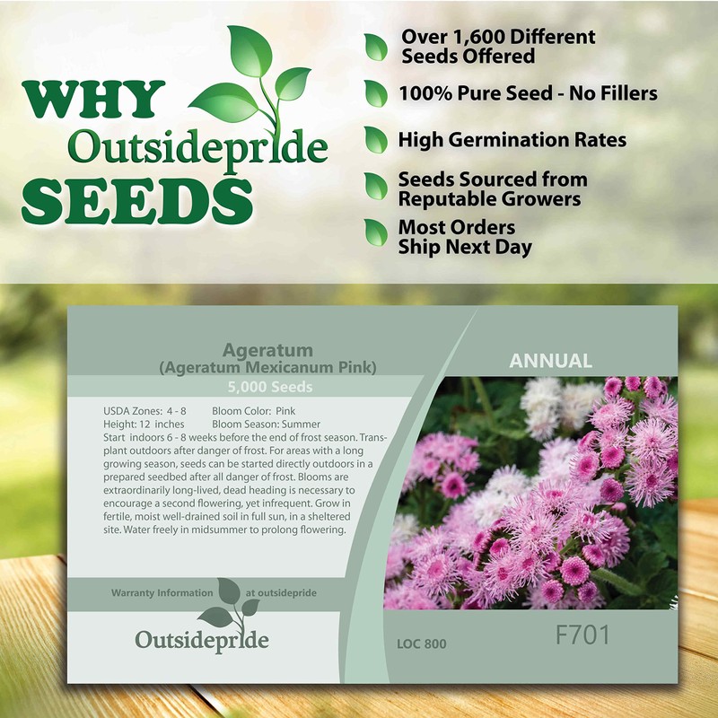 Outsidepride 5000 Seeds Annual Ageratum Pink Flower Seeds for Planting