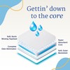NorthShore GoSupreme Overnight Incontinence Underwear, 8-Hour Pullup Style, Medium, 56
