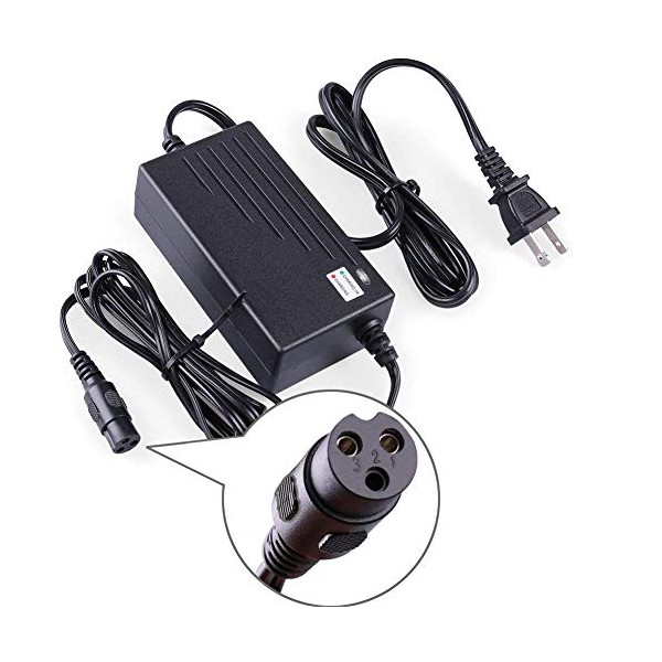 LotFancy 24V 2A Scooter Battery Charger, for Razor E300, E200, E100, E125, E150, PR200, E225S, E325S, E175, E500, CC2420 Electric Scooter, MX350 Dirt Bike, Pocket Mod, UL Listed, Fast Charge