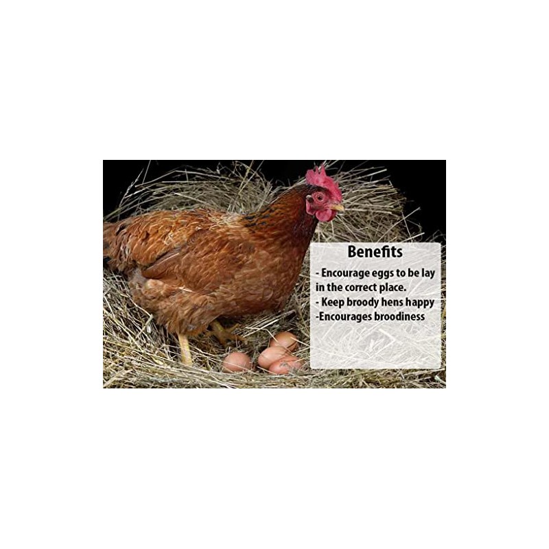 Imitation Chicken Poultry Hen Eggs [3 Pack] - Weighted Rubber
