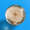 YouerCrystal Real Dandelion Decor, Dandelion Resin Crystal Ball Paperweight, 2.56in