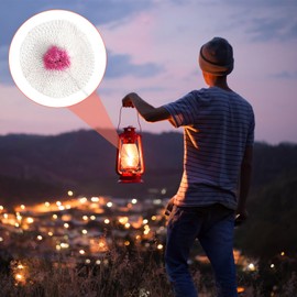 Gas Lantern Mantles, 20Pcs Universal Dual Head Kerosene Lamp Mantles Gas Camping Light Mesh Cloth Lampshade, Gas Lamp Replacement Mantle for Outdoor Camping Hiking