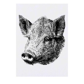 Azeeda 'Wildschweinporträt' Temporäres Tattoo - Hautfreundlicher & Ungiftiger Abziehbild · Wasserfest (TO00081621)